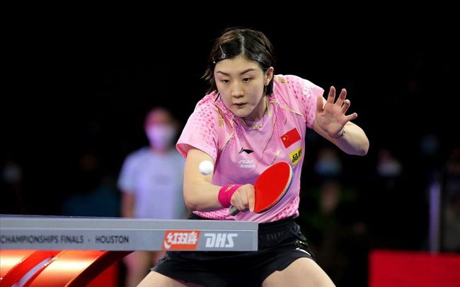 近期的发现 近期的发现