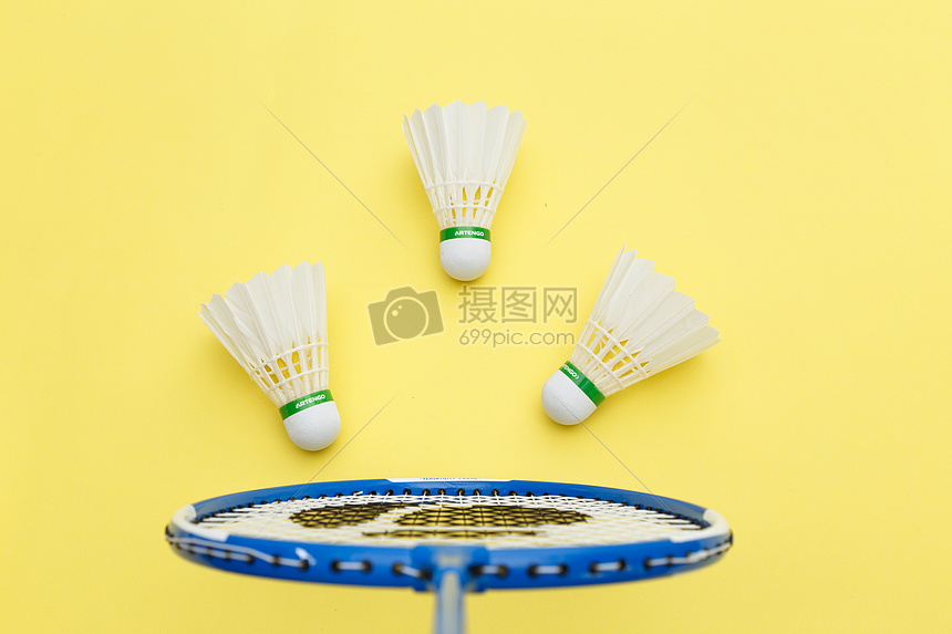 世界羽毛球 世界羽毛球